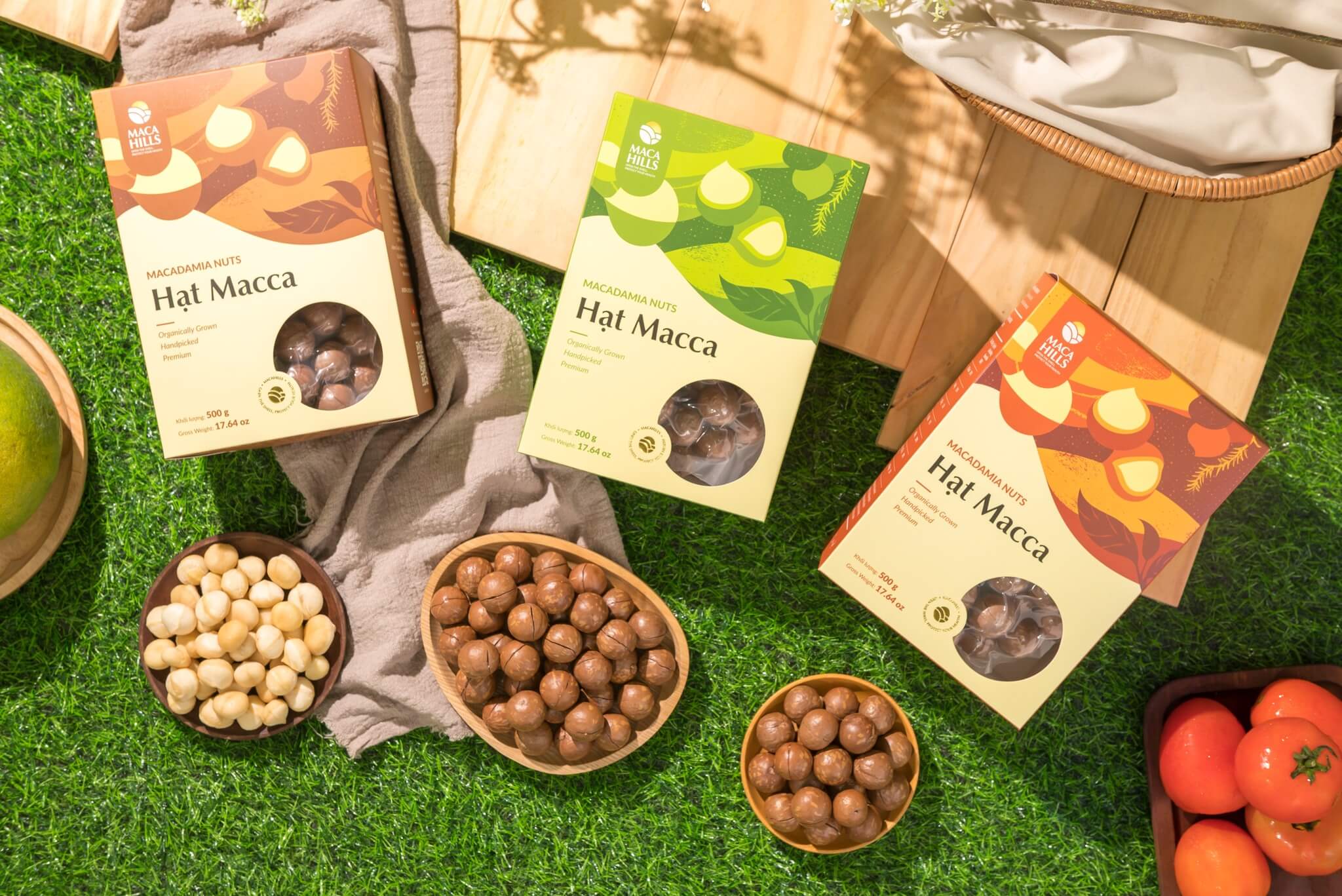 534118578 2221181285051070 5944775434221825992 n 2 1