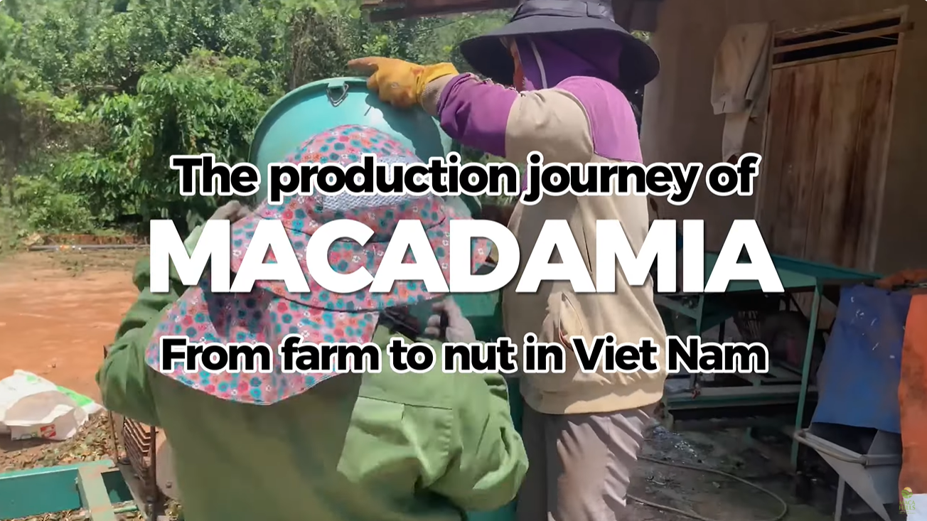 Screenshot 2025 08 21 125246