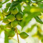 adobestock 314807588 1