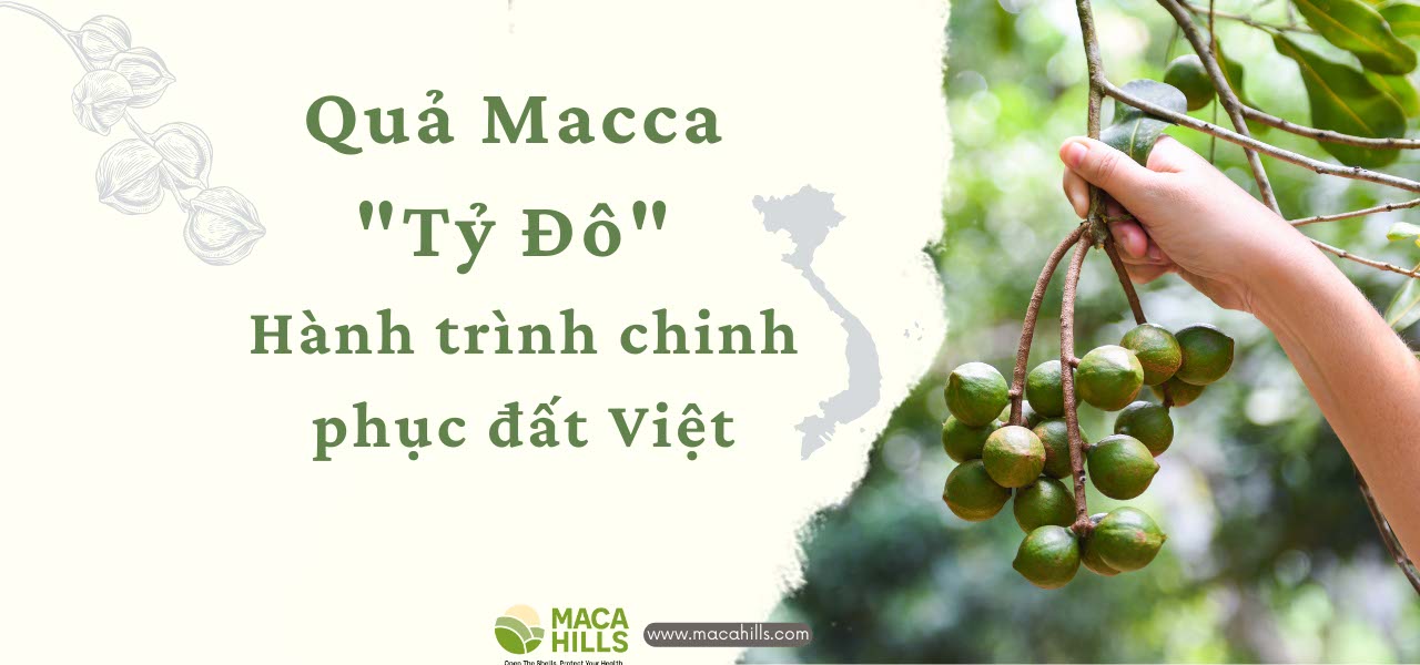 qua-macca-ty-do-va-hanh-trinh-chinh-phuc-dat-viet-macahills