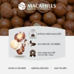 Hạt Macca Vị Capuchino Maca Hills Hộp 100gr - Ảnh 8