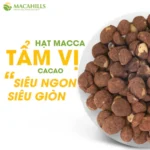 Hạt Macca Vị Ca Cao Đậm Đà Maca Hills Hộp 100gr - Ảnh 5