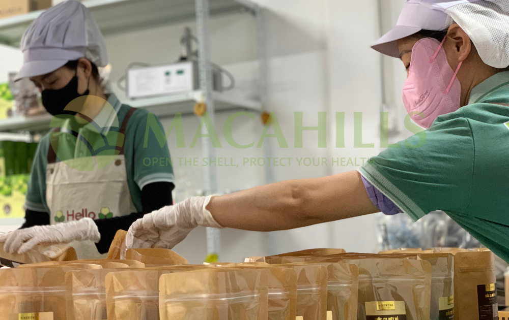 Xuong san xuat hat mac ca gia re Tay Nguyen