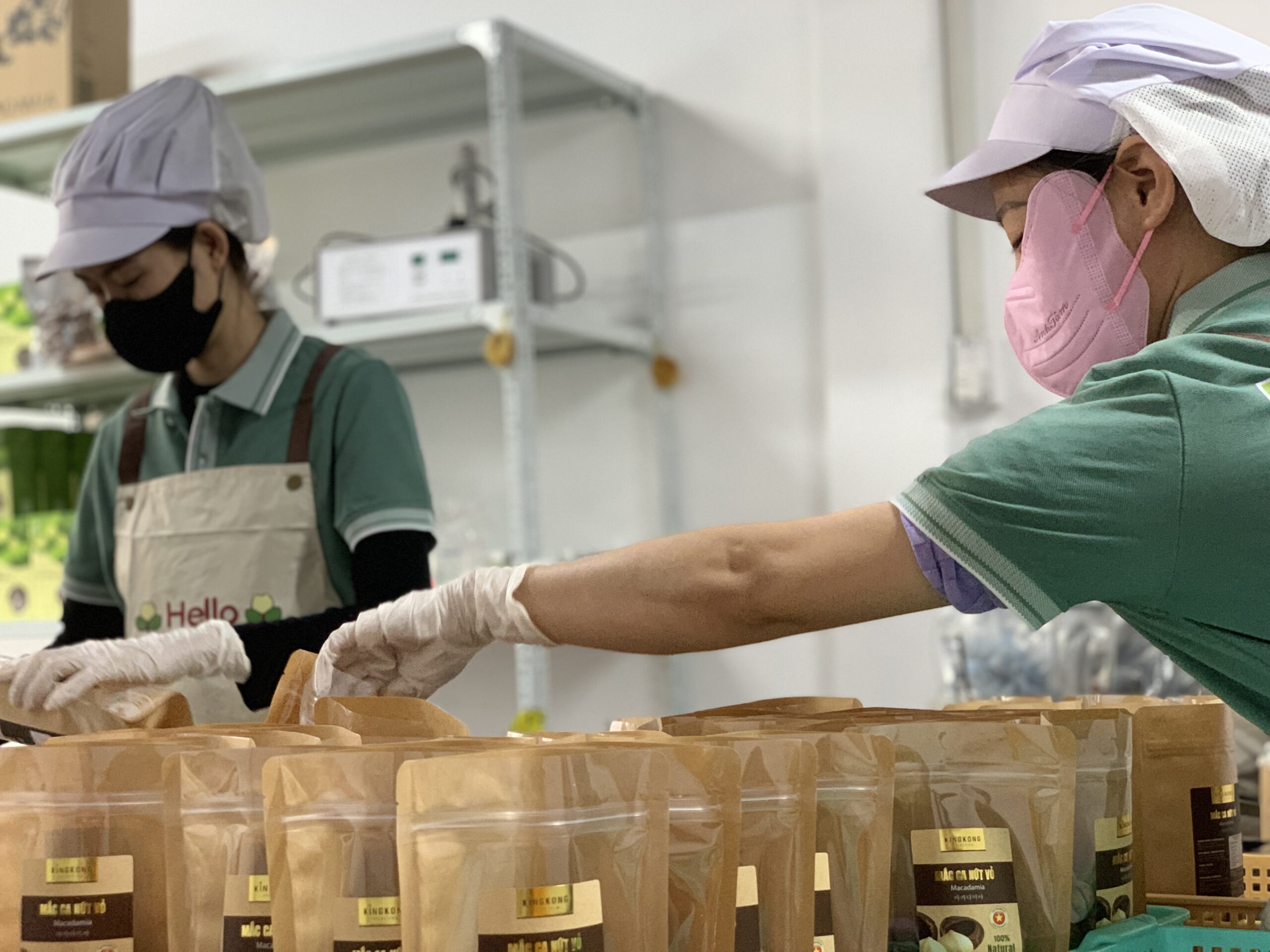 xưởng sản xuất hạt macca giá rẻ Tây Nguyên