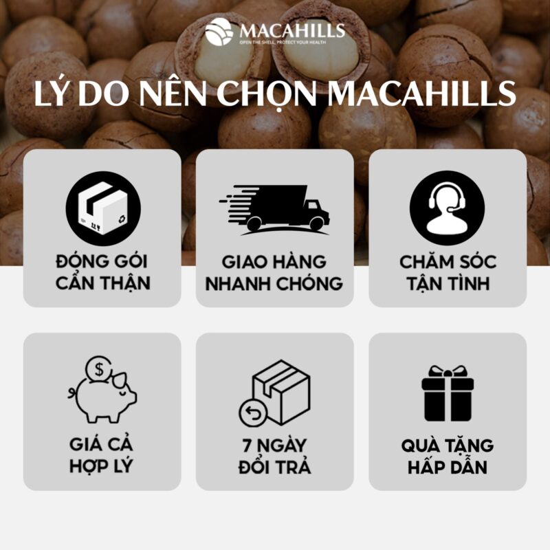 Lý Do Nên Chọn Xưởng GIa Công Hạt Macca Maca Hills