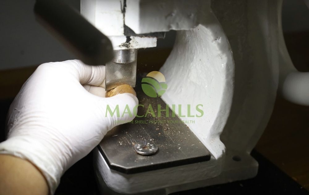 xuong san xuat hat mac ca gia re Dak Nong