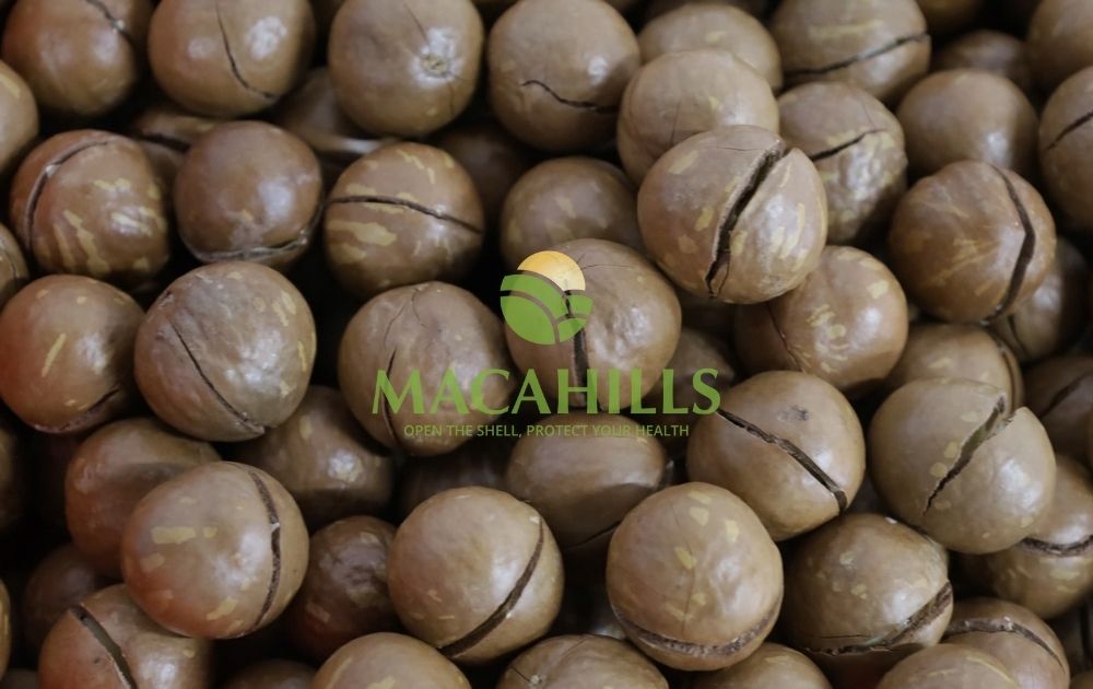 xuong san xuat hat mac ca gia re Lam Dong