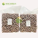 Hạt Macca Xuất Khẩu Size 22-24mm Thùng 10kg - Ảnh 3