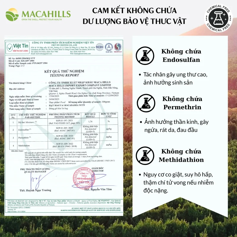 hat macca dat tieu chuan xuat khau