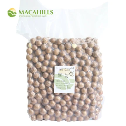 Hạt Macca Xuất Khẩu Size 22-24mm Thùng 10kg