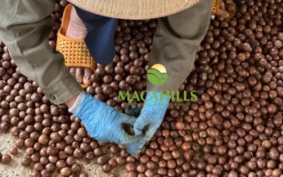 macca đắk nông
