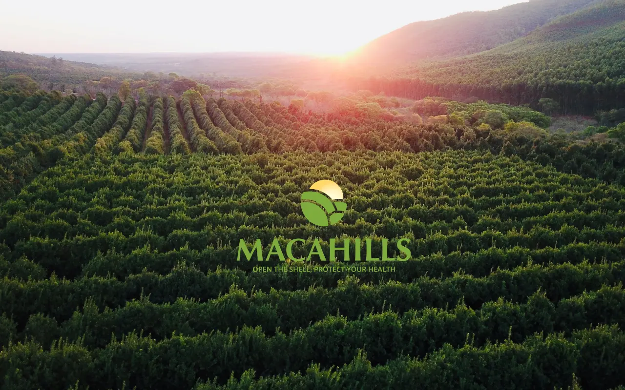 hạt macca nhập khẩu Úc